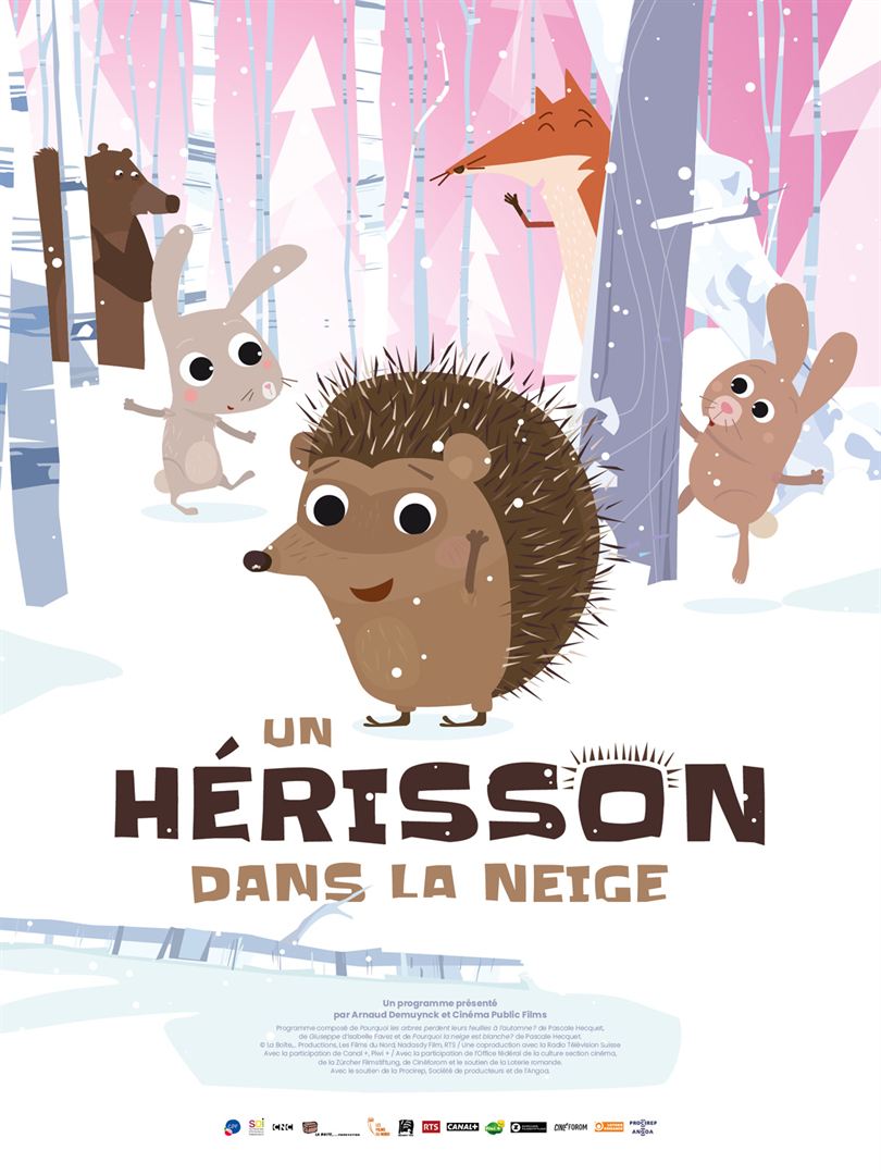 You are currently viewing UN HÉRISSON DANS LA NEIGE