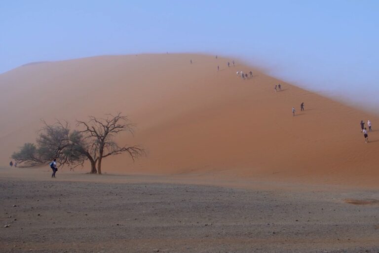 Lire la suite à propos de l’article Connaissance du monde : NAMIBIE