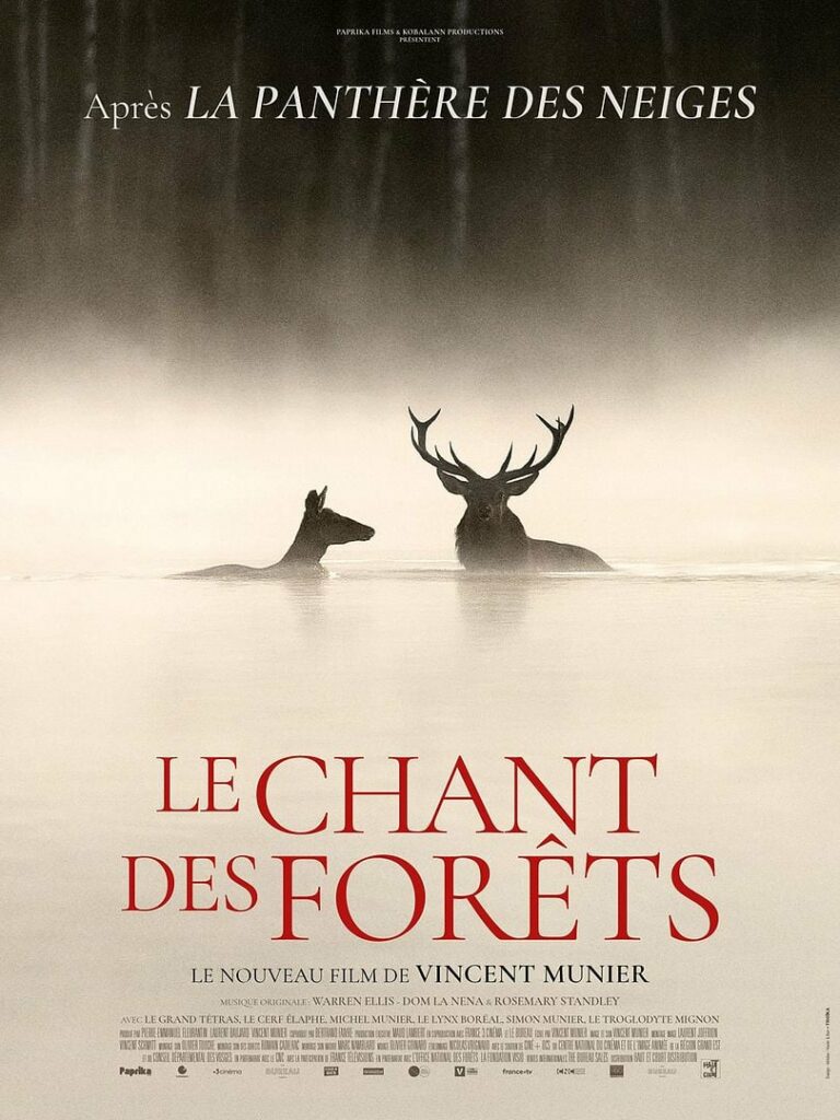 Lire la suite à propos de l’article Le Chant des forêts