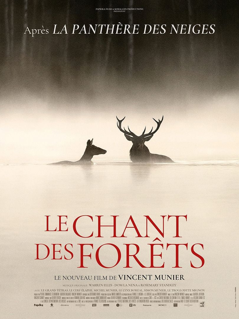 Lire la suite à propos de l’article Le Chant des forêts